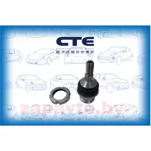 CTE CBJ21010