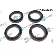 DR. MOTOR DRM0261S