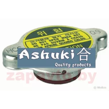 ASHUKI 0462-0005