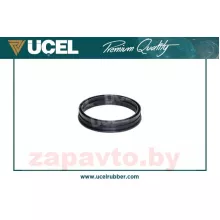 UCEL 65255