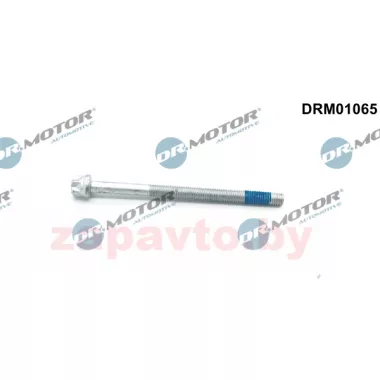 DR. MOTOR DRM01065