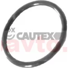 CAUTEX 758519