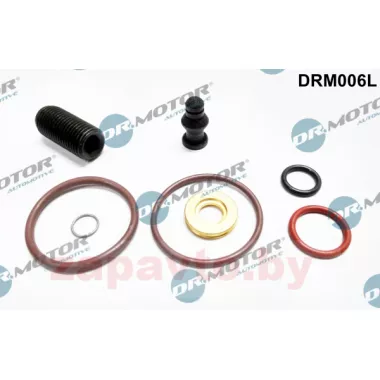 DR. MOTOR DRM006L