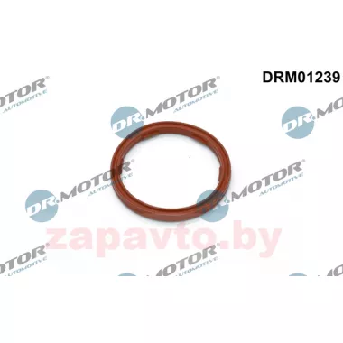 DR. MOTOR DRM01239