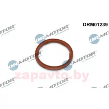 DR. MOTOR DRM01239