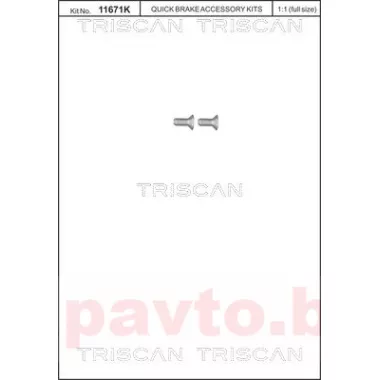 TRISCAN 8105 116012