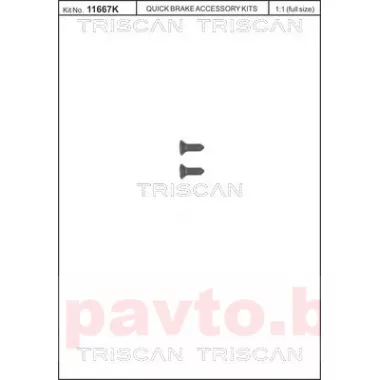 TRISCAN 8105 116008