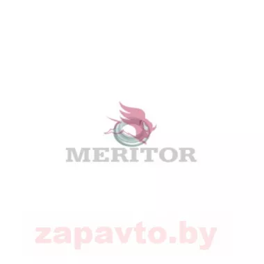 MERITOR 21019026