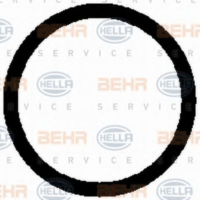 BEHR HELLA SERVICE 8FK 351 126-091