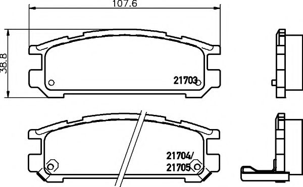 PAGID T3021