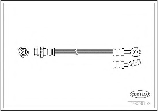 CORTECO 19036152