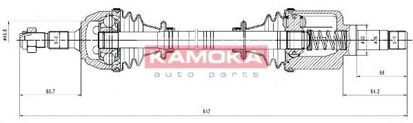 KAMOKA CT1138905