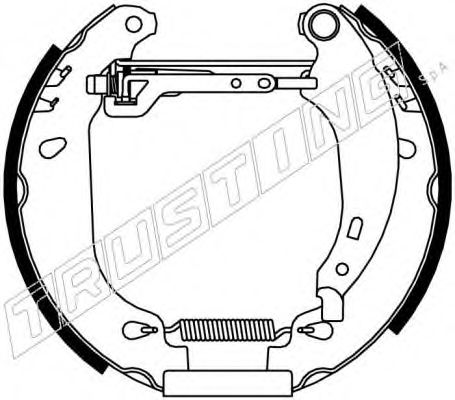 TRUSTING 6160