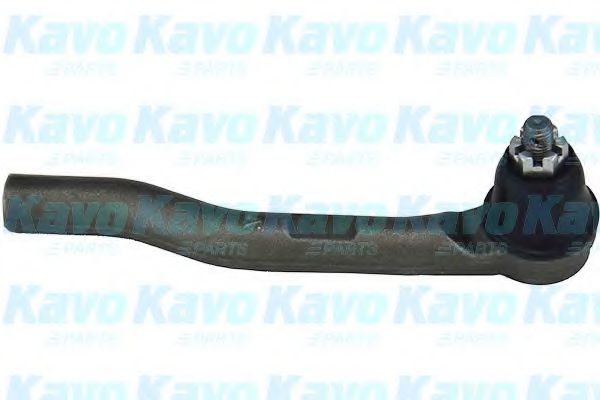 KAVO PARTS STE-2037