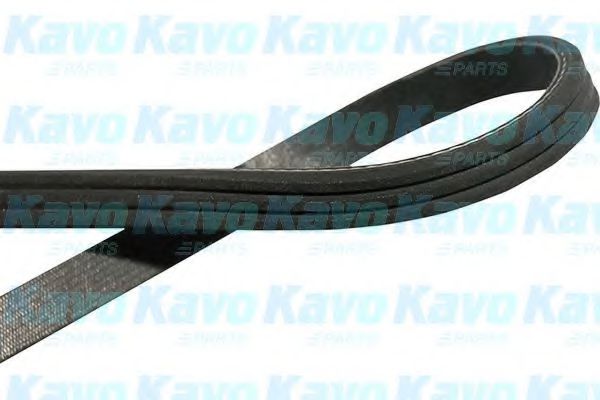 KAVO PARTS DMV-1502