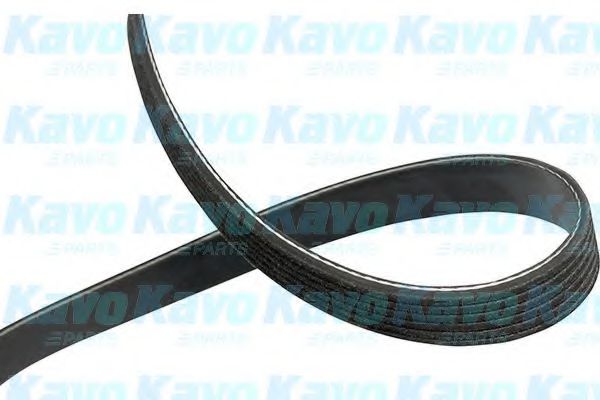 KAVO PARTS DMV-2035