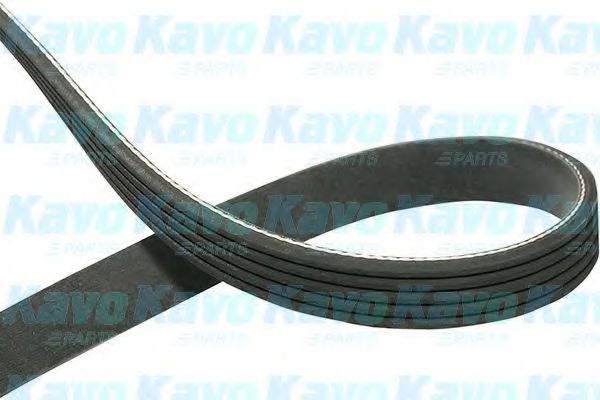 KAVO PARTS DMV-2051