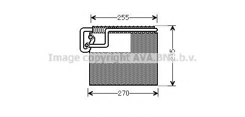 AVAQUALITYCOOLING OLV481