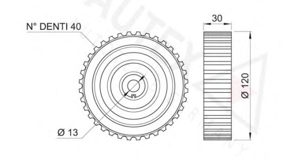 AUTEX 652062