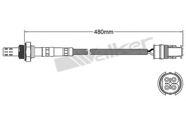 WALKER PRODUCTS 250-24610