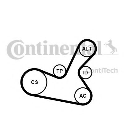 CONTITECH 5PK1300K1