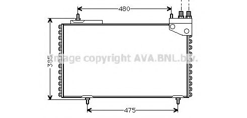 PRASCO CN5094