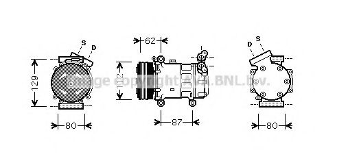 PRASCO RTK331