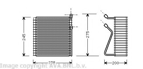 PRASCO VOV091