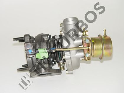 TURBO' S HOET 1100176