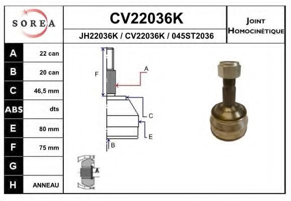 EAI CV22036K