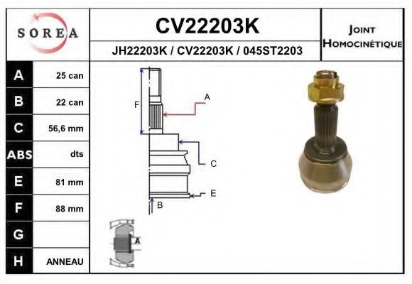 EAI CV22203K