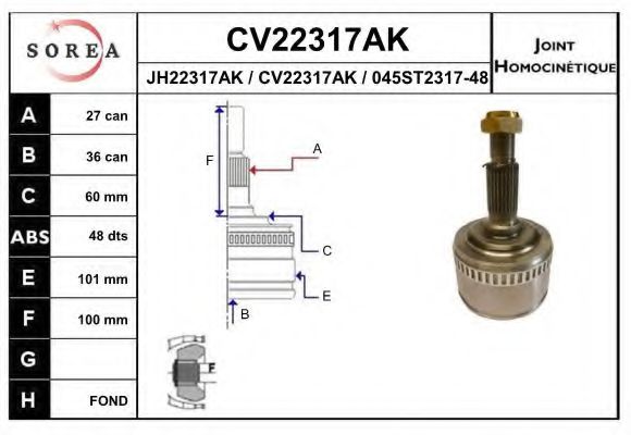 EAI CV22317AK