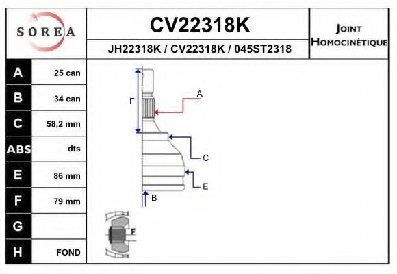 EAI CV22318K