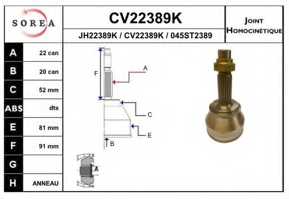 EAI CV22389K