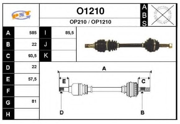 SNRA O1210