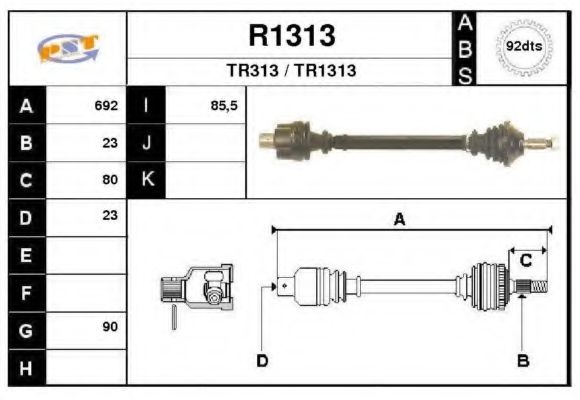 SNRA R1313