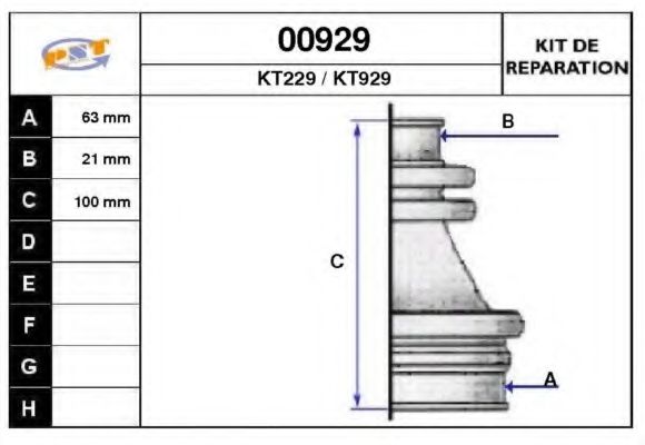 SNRA 00929