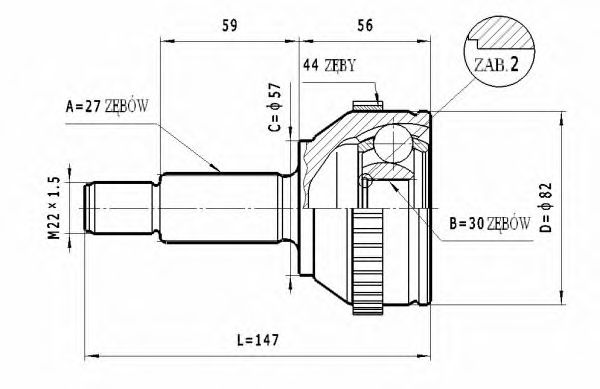 STATIM C.205