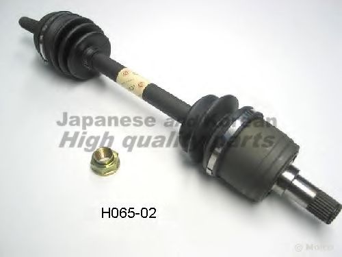 ASHUKI H065-02