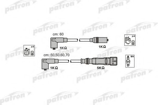 PATRON PSCI1013