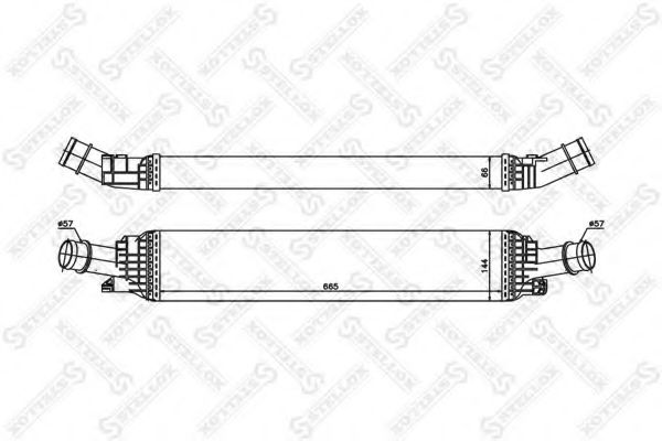 STELLOX 10-40184-SX