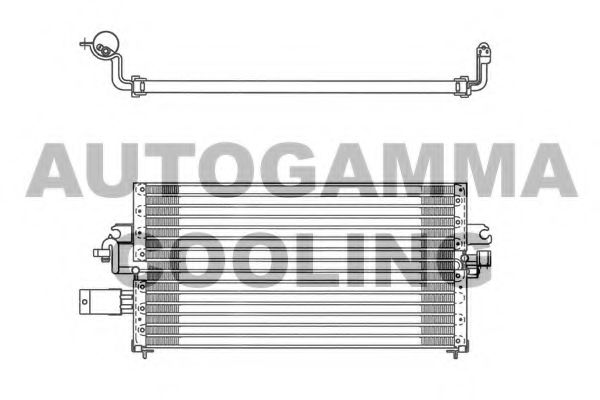 AUTOGAMMA 102725