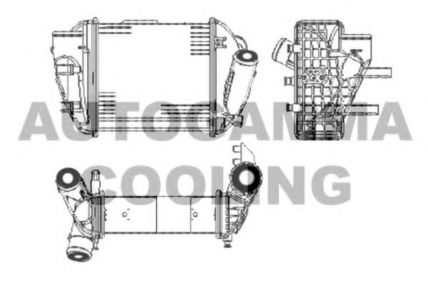 AUTOGAMMA 103598