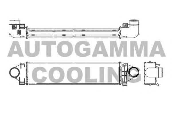 AUTOGAMMA 107105