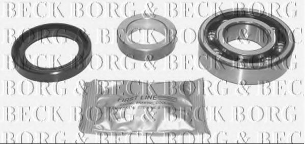 BORG & BECK BWK317