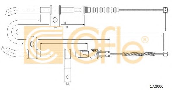 COFLE 17.3006