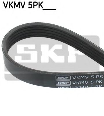 SKF VKMV 5PK895