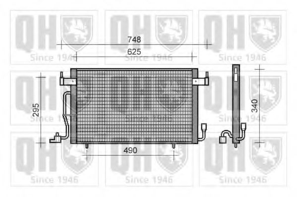 QUINTON HAZELL QCN156