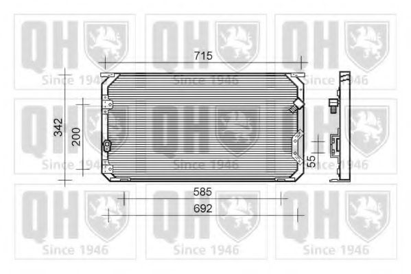 QUINTON HAZELL QCN342