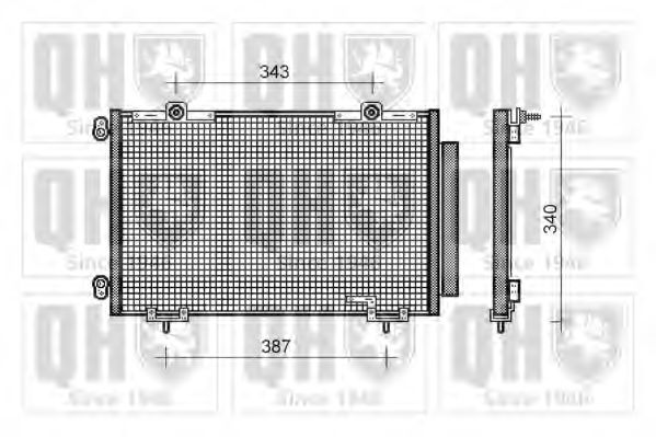 QUINTON HAZELL QCN343